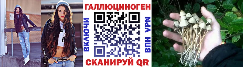 kraken маркетплейс Стерлитамак Псилоцибиновые грибы MAGIC MUSHROOMS